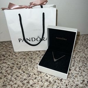 Pandora Heart of Winter Silver Necklace